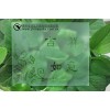 銷售新型蒙砂膏（穩定）